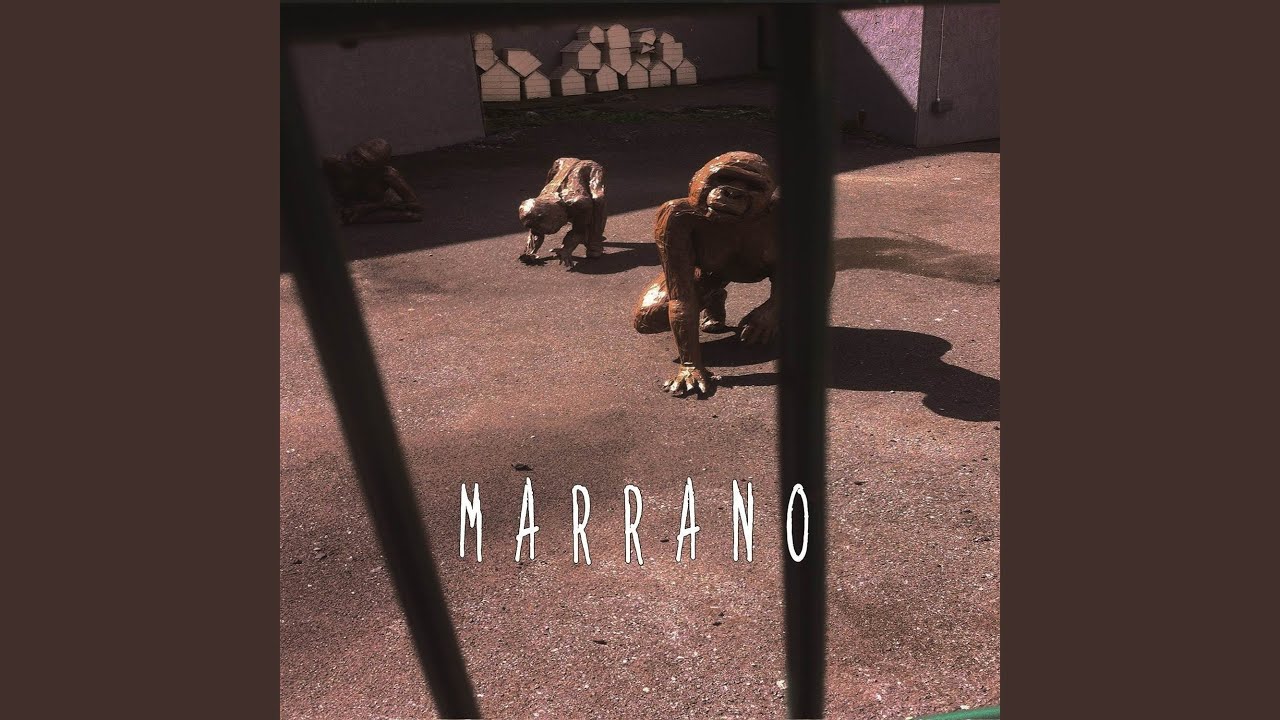 Sei anni