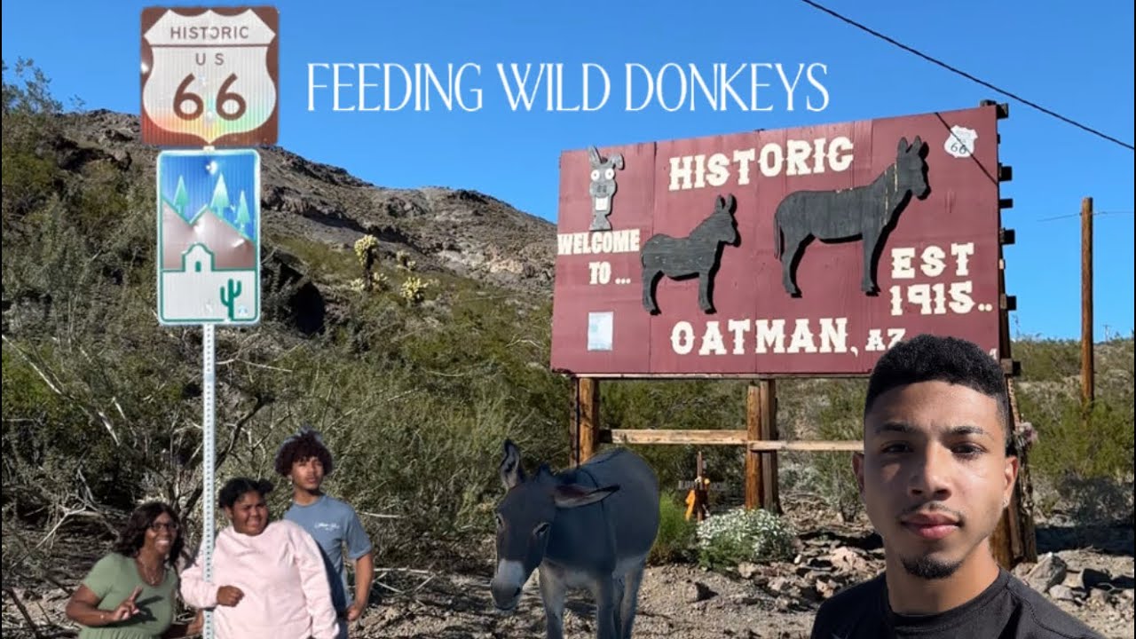 VLOG: ARIZONA TRIP DAY 4 (OATMAN/BUCKEYE)