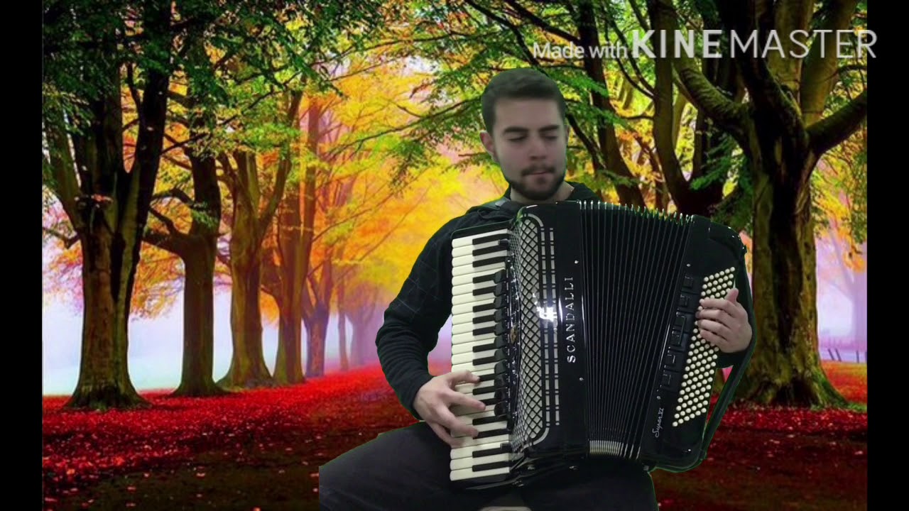 Vinicius Bianchini- Bela e Atrevida