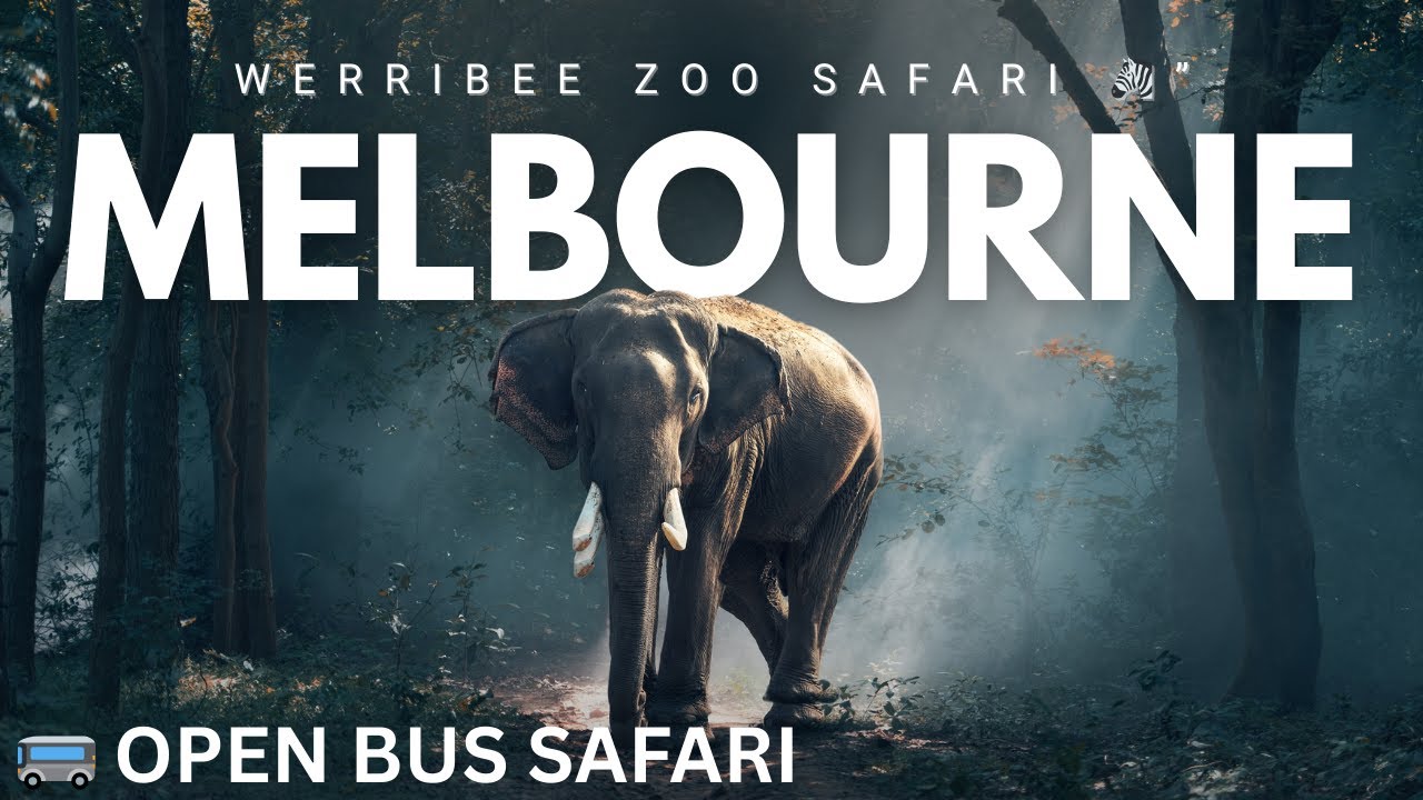 Werribe Zoo Vlog