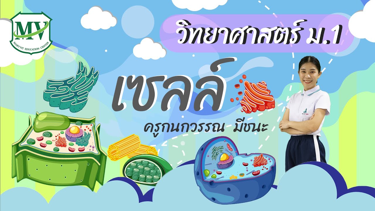 เรื่องเซลล์ วิทยาศาสตร์ ม.1