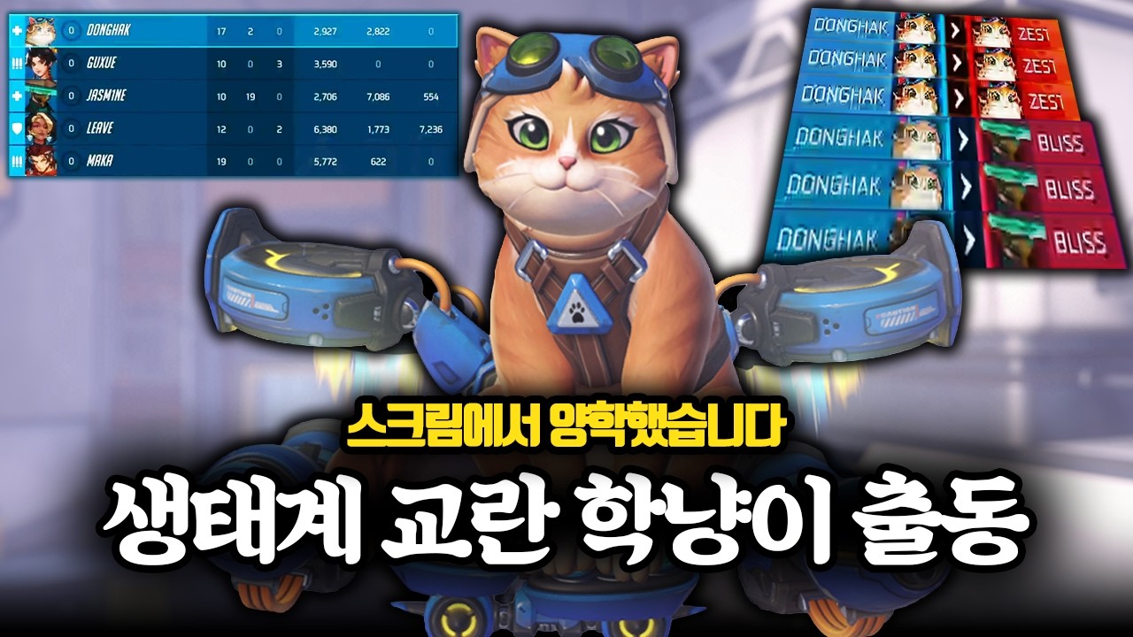 러쉬 플레타가 극찬한 의문의 고양이유저.