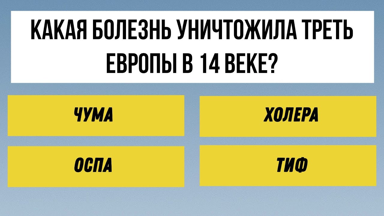 Бросьте вызов своим знаниям и интеллекту! Тест на эрудицию 30 вопросов