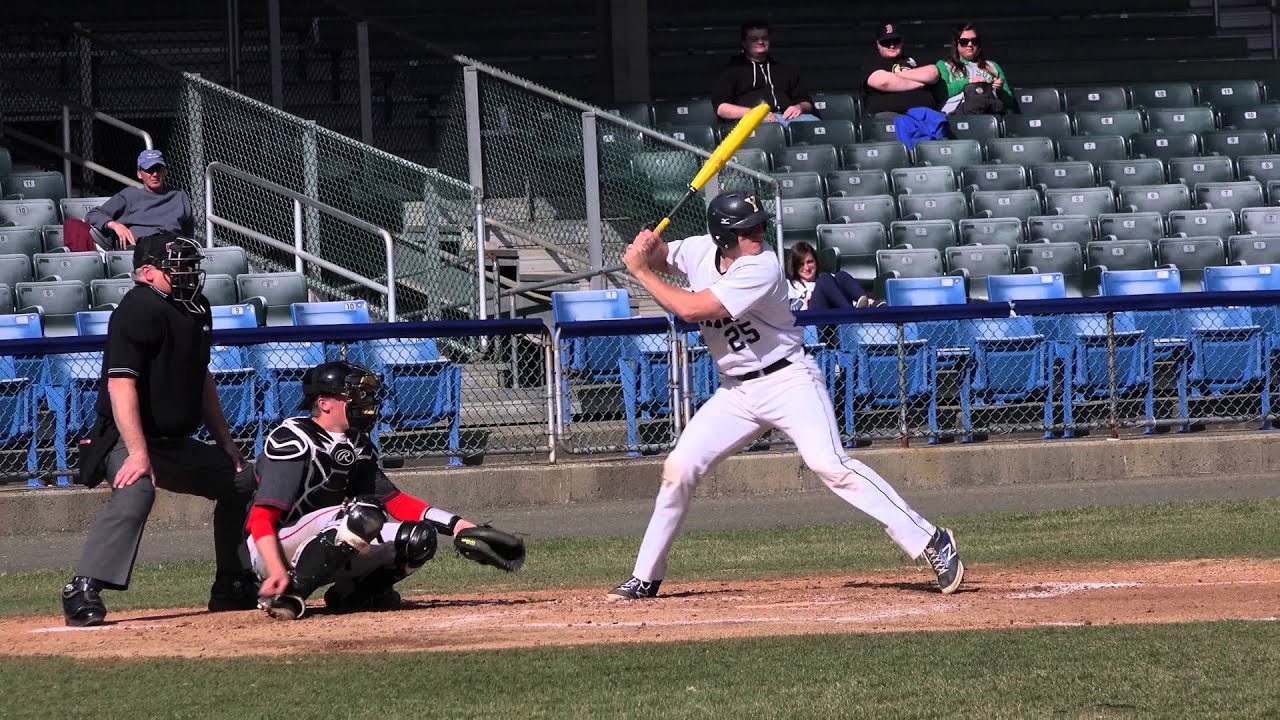 Sony FDR AX100 Video: Baseball in 4K