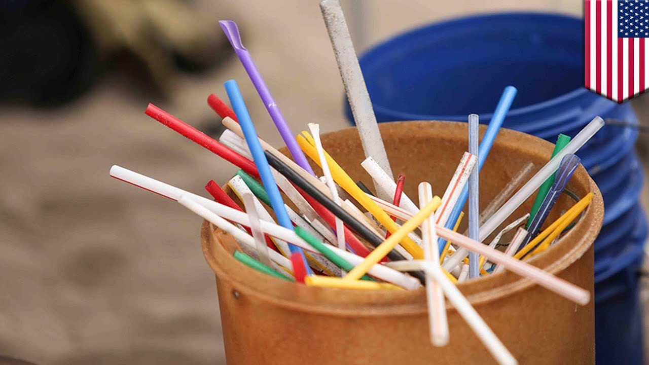 Plastic straw pollution: Campaigns look to reduce plastic straw use - TomoNews