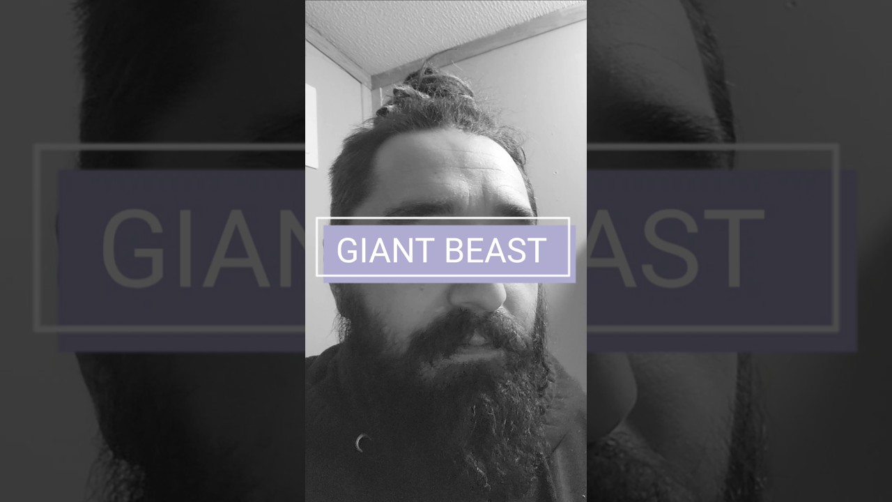 BIGFOOT STORIES ‼️ SASQUATCH SIGHTINGS