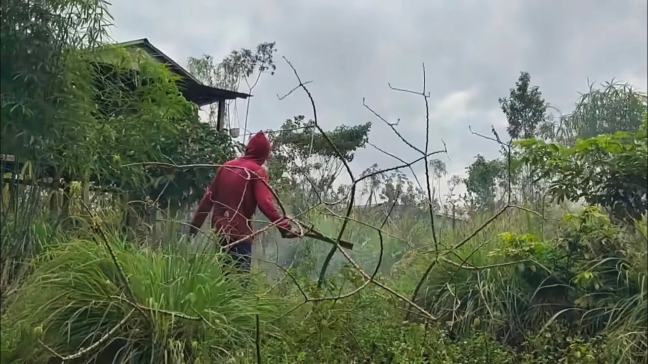 GAK PUNYA HATI.. Beginilah jahatnya ODGJ yang tinggal di hutan