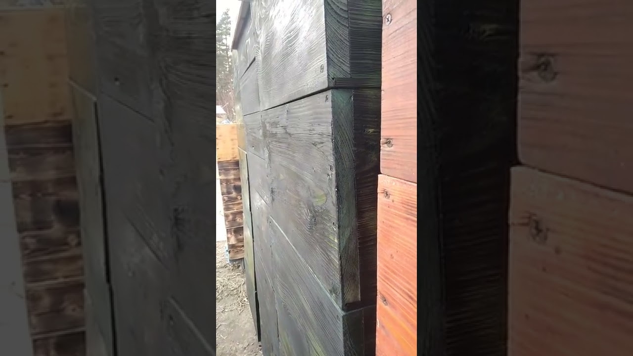 ule świerkowe jednościenne, baz klejenia korpusy dadant gniazdowei i 1/2.