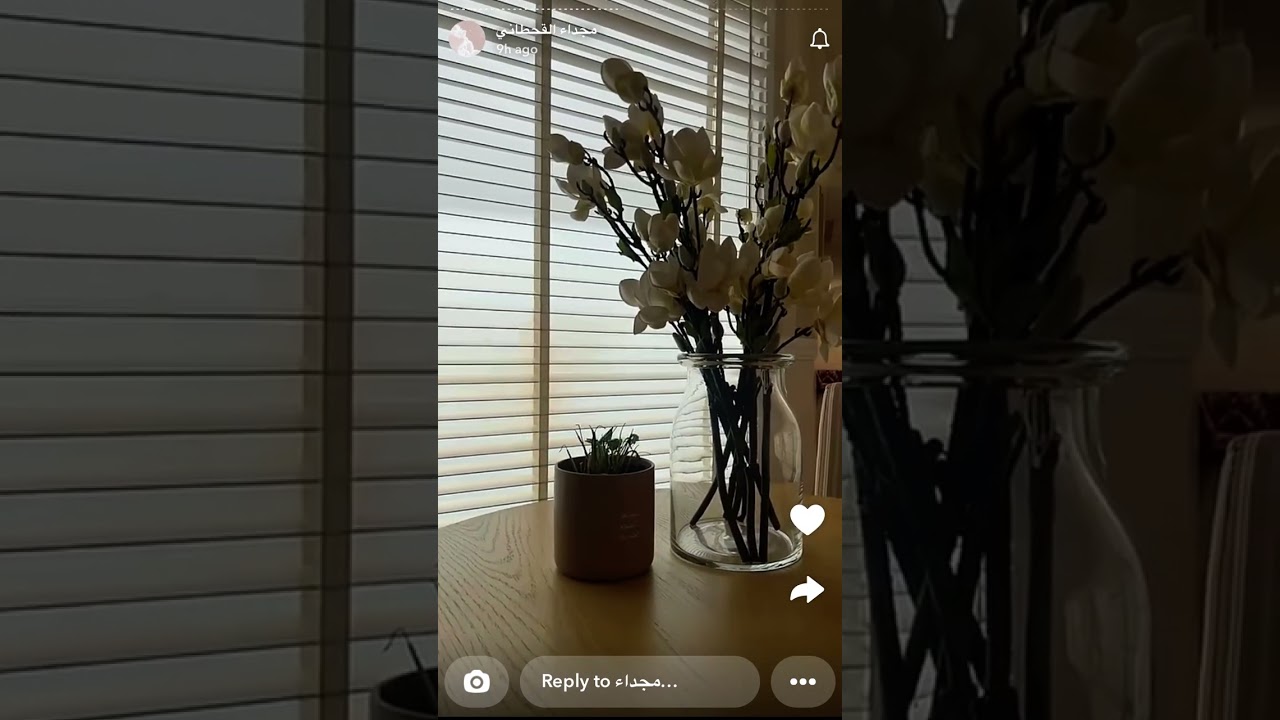 سنابات مجداء القحطاني | قصة عن الصدقة