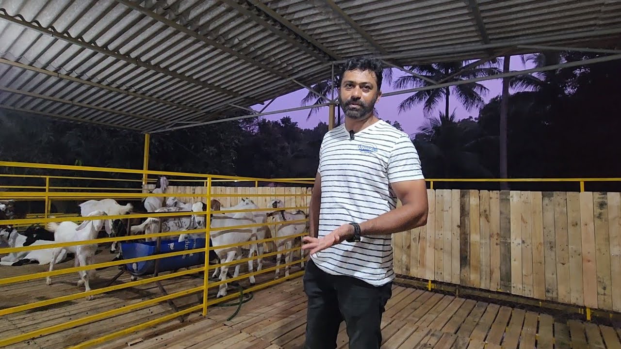 Fahad Bhai Ko Dusre Farm Se Phone Aarahe Hai | Hira Goat Farm Ko Promote Karunga Bole Fahad Bhai.