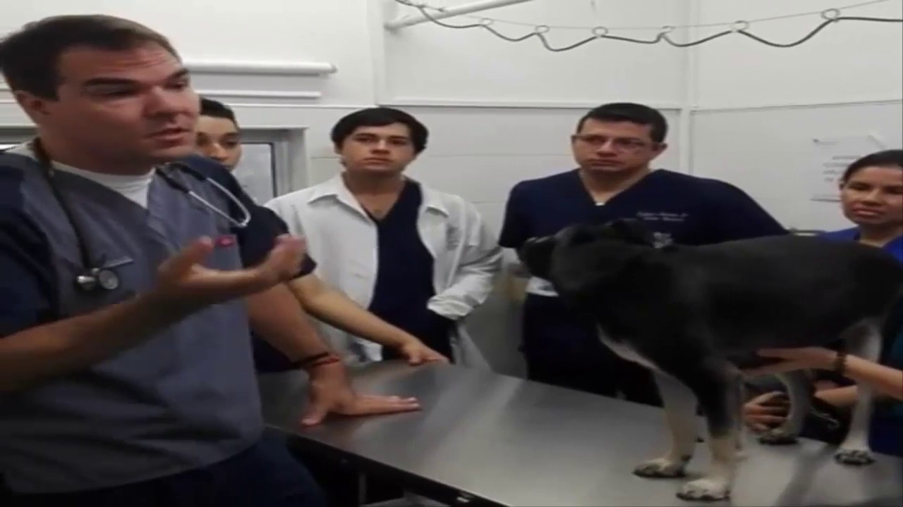 EL ABC DE ANESTESIA