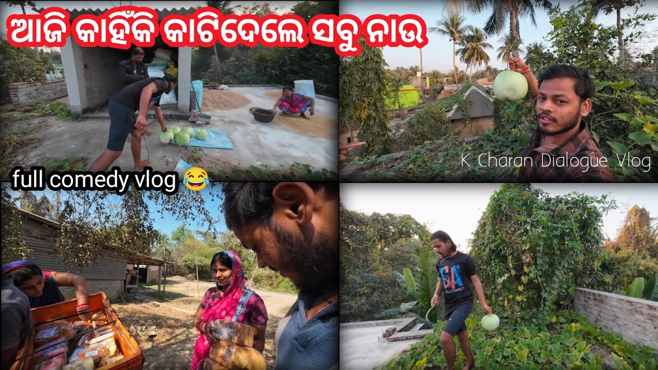 ଆଜି କାହିଁକି କାଟିଦେଲେ ସବୁ ନାଉ🫣 || Odia Comedy Vlog || K Charan Dialogue || #vlog #kcharandialogue 