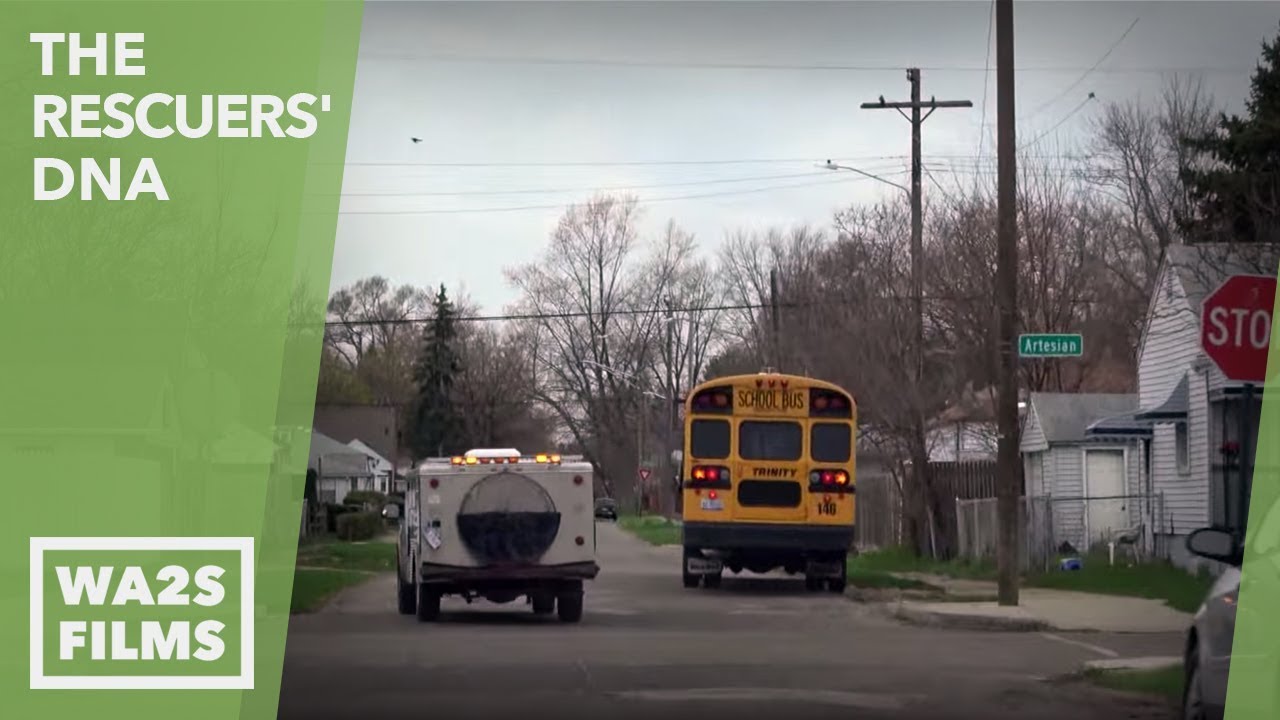 Detroit Animal Control Truck Nearly Hits School Kids - Hope For Dogs Like My DoDo