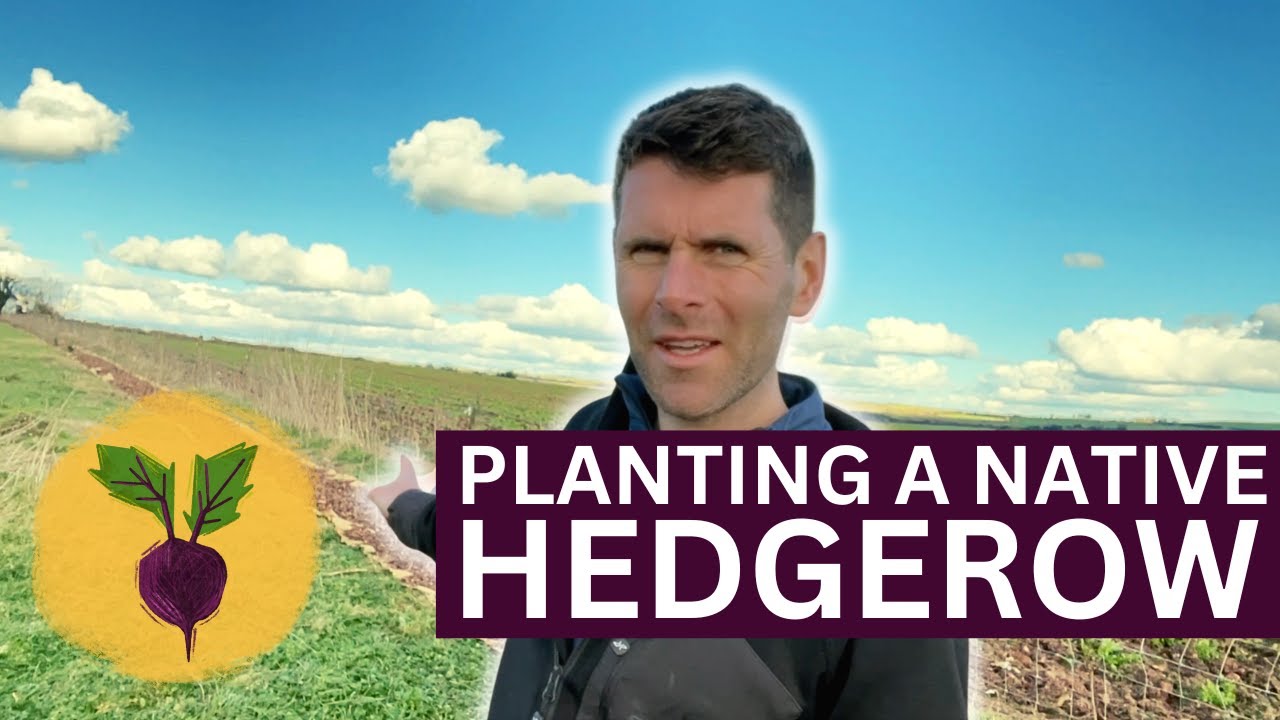 S1 E2  - Planting a Native Irish Hedgerow - A Living Windbreak For Better Biodiversity