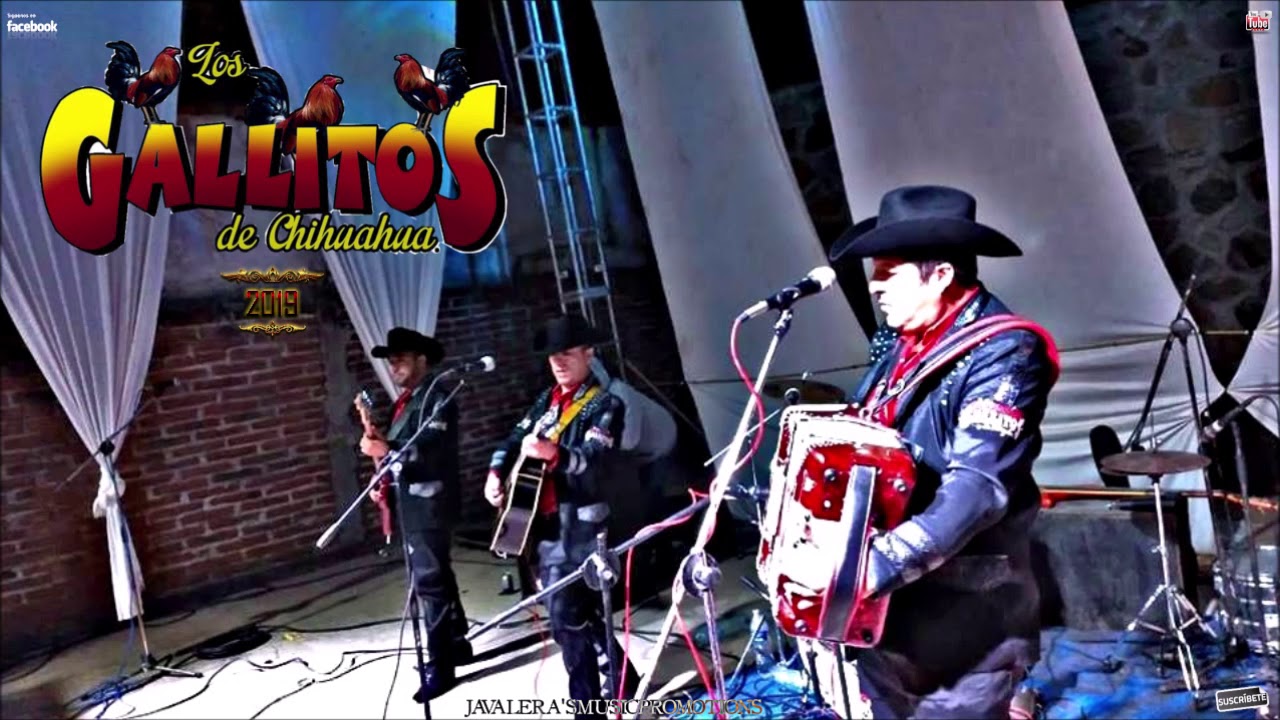 Los Gallitos De Chihuahua .- En Vivo Choix 2019 (DISCO COMPLETO)