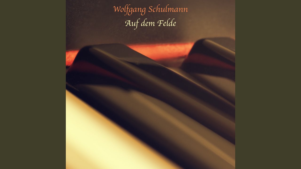 Der Vogel auf dem Felsen