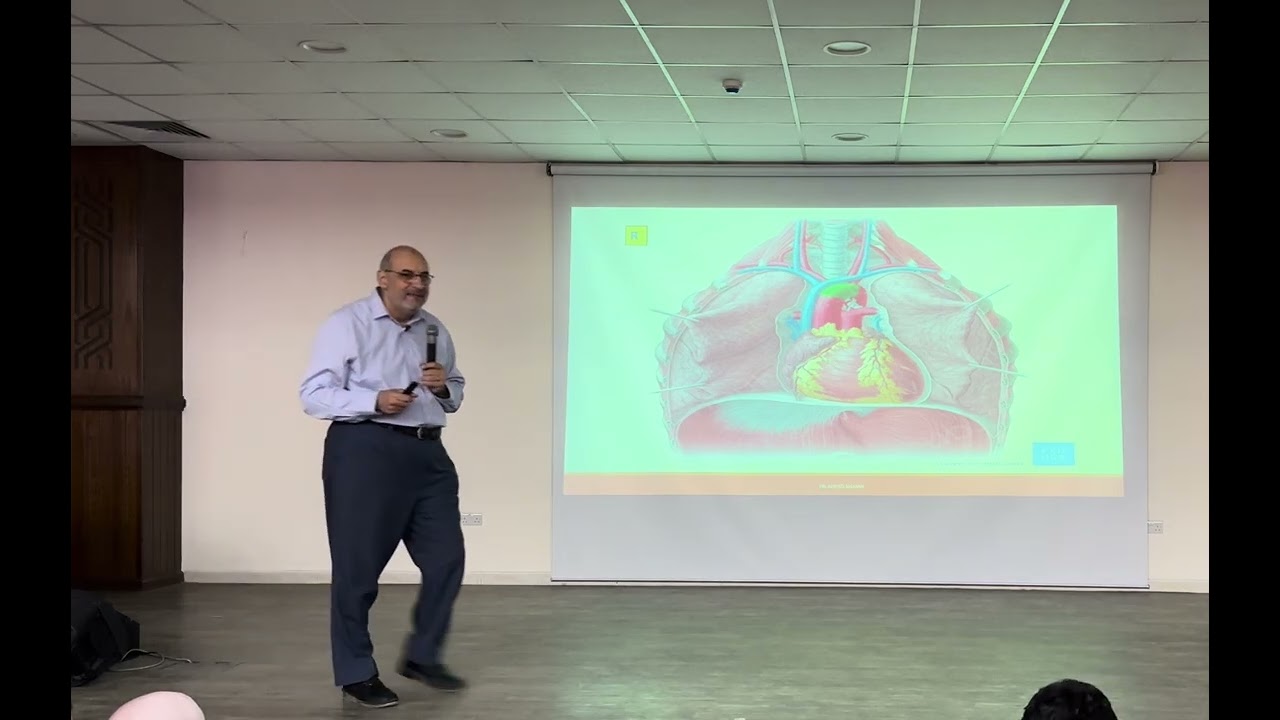 Superior Mediastinum