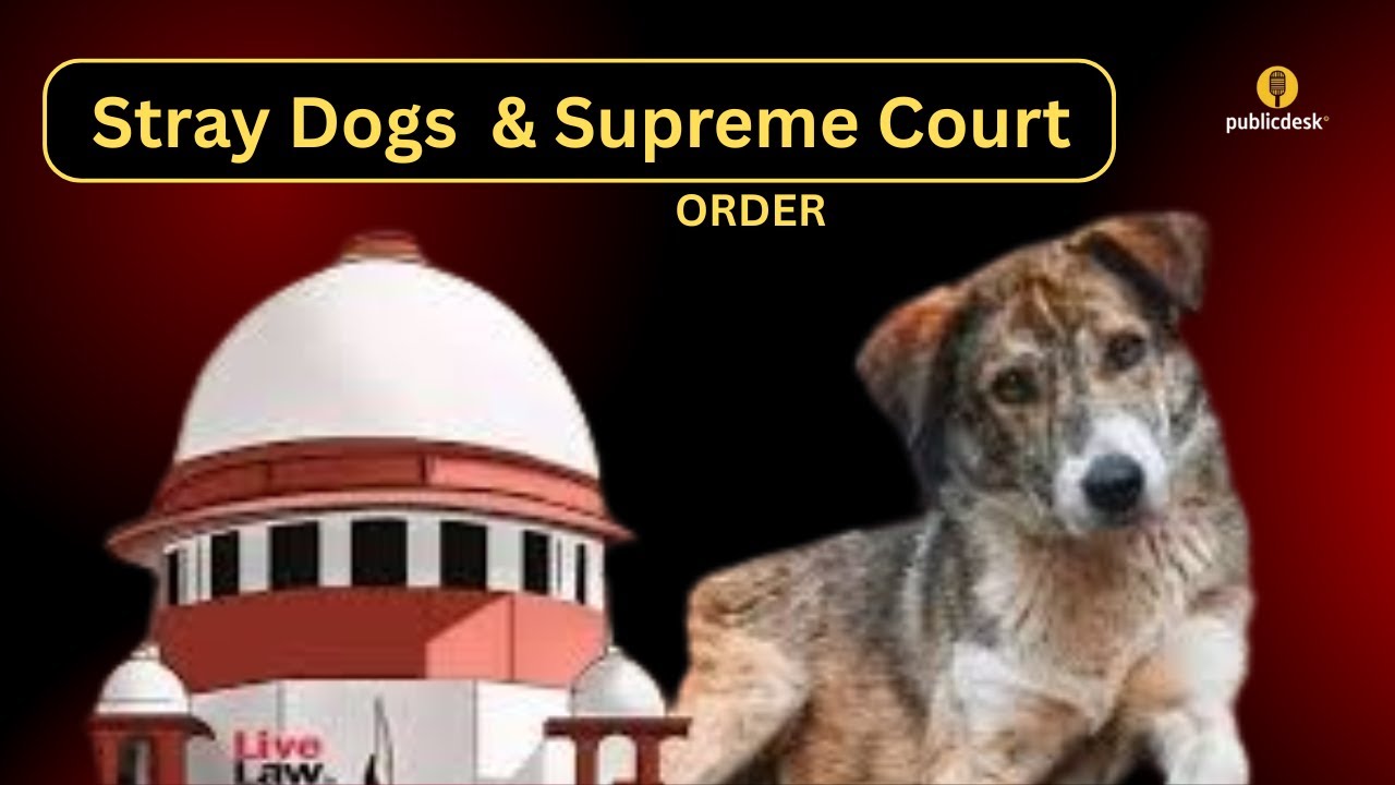 Stray Dog Crisis in India | Supreme Court&rsquo;s Big Order Explained