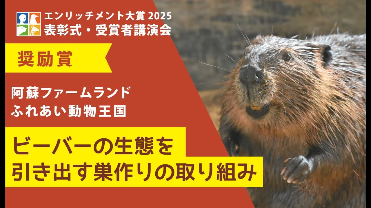 【エンリッチメント大賞2025表彰式・受賞者講演会】奨励賞　阿蘇ファームランド ふれあい動物王　「ビーバーの生態を引き出す巣作りの取り組み」