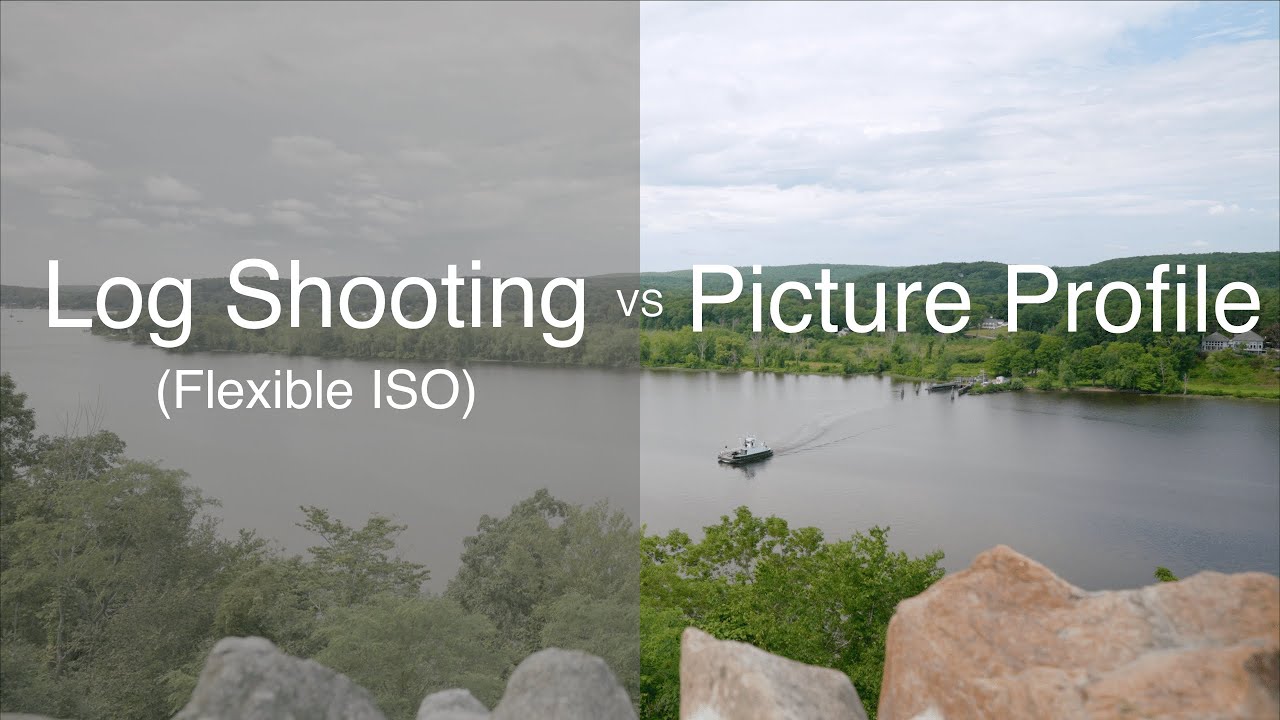 2 Ways to Shoot SLog3 on the Sony ZV-E1: Which one comes out on top?
