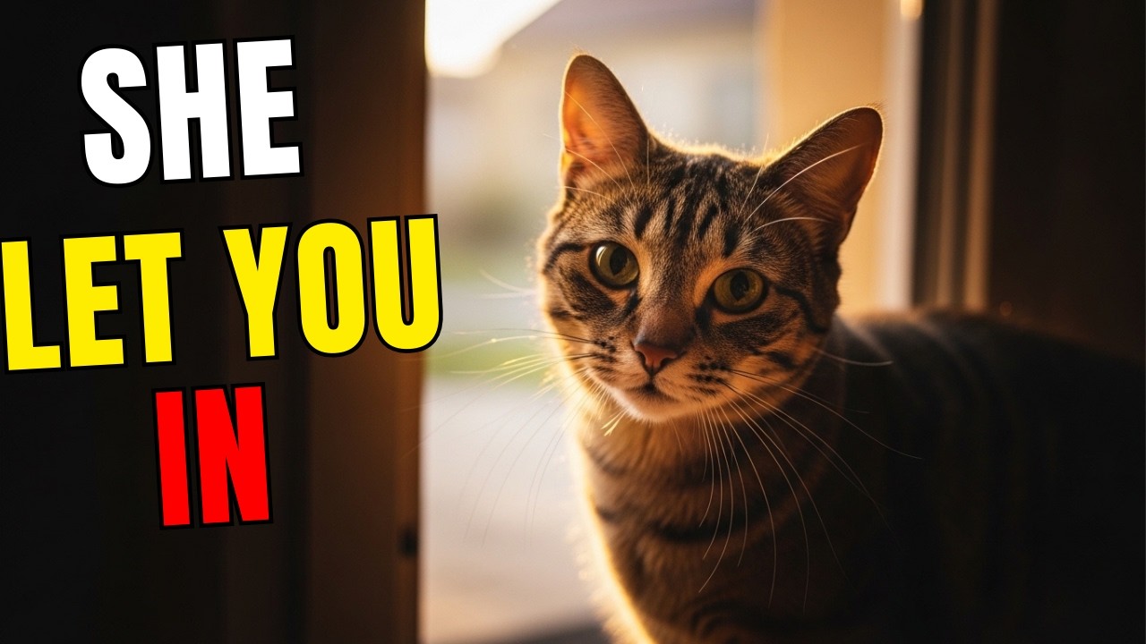 When a CAT Opens Their World to YOU