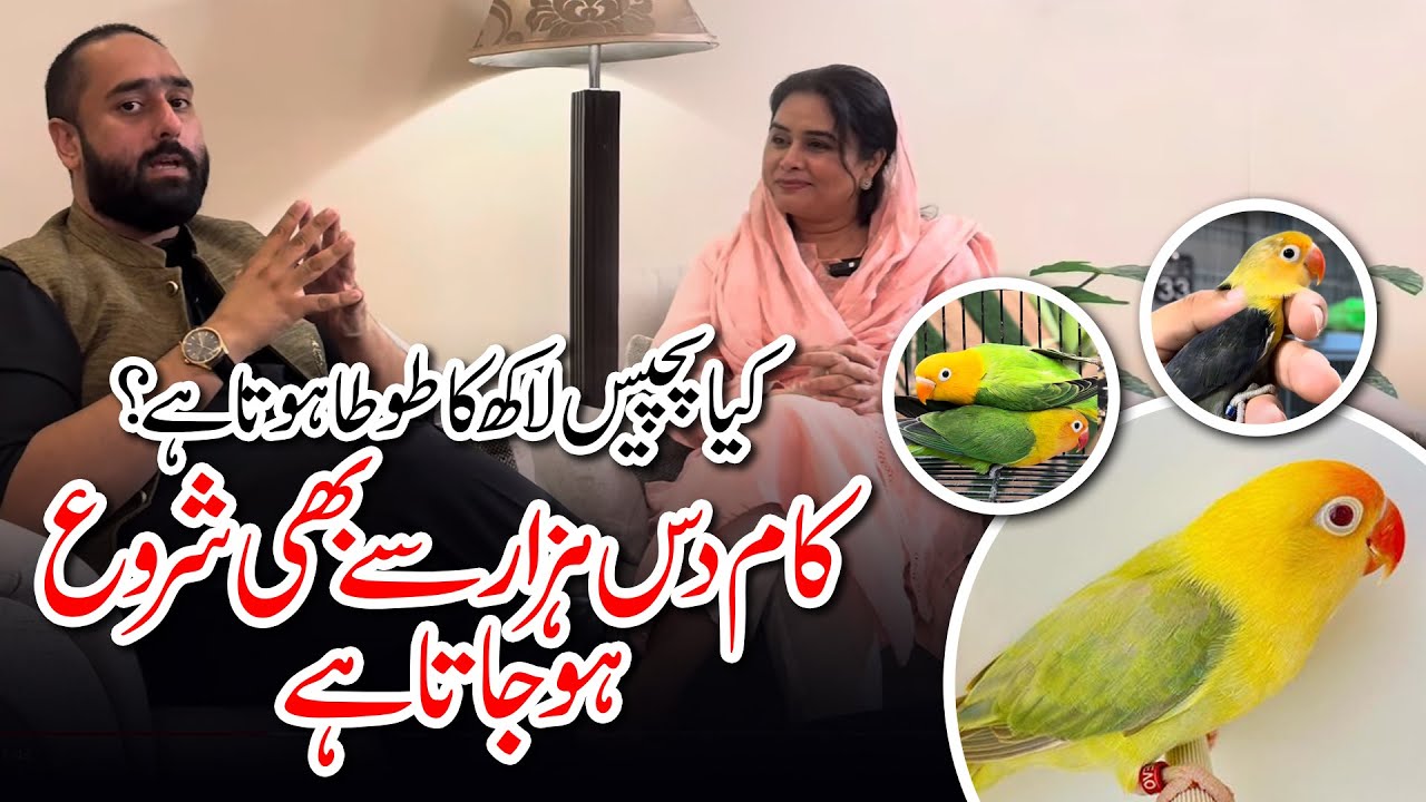 Any Lovebird Worth 2.5 Million Rupees? You Can Start This Business In Just 10,000rs!