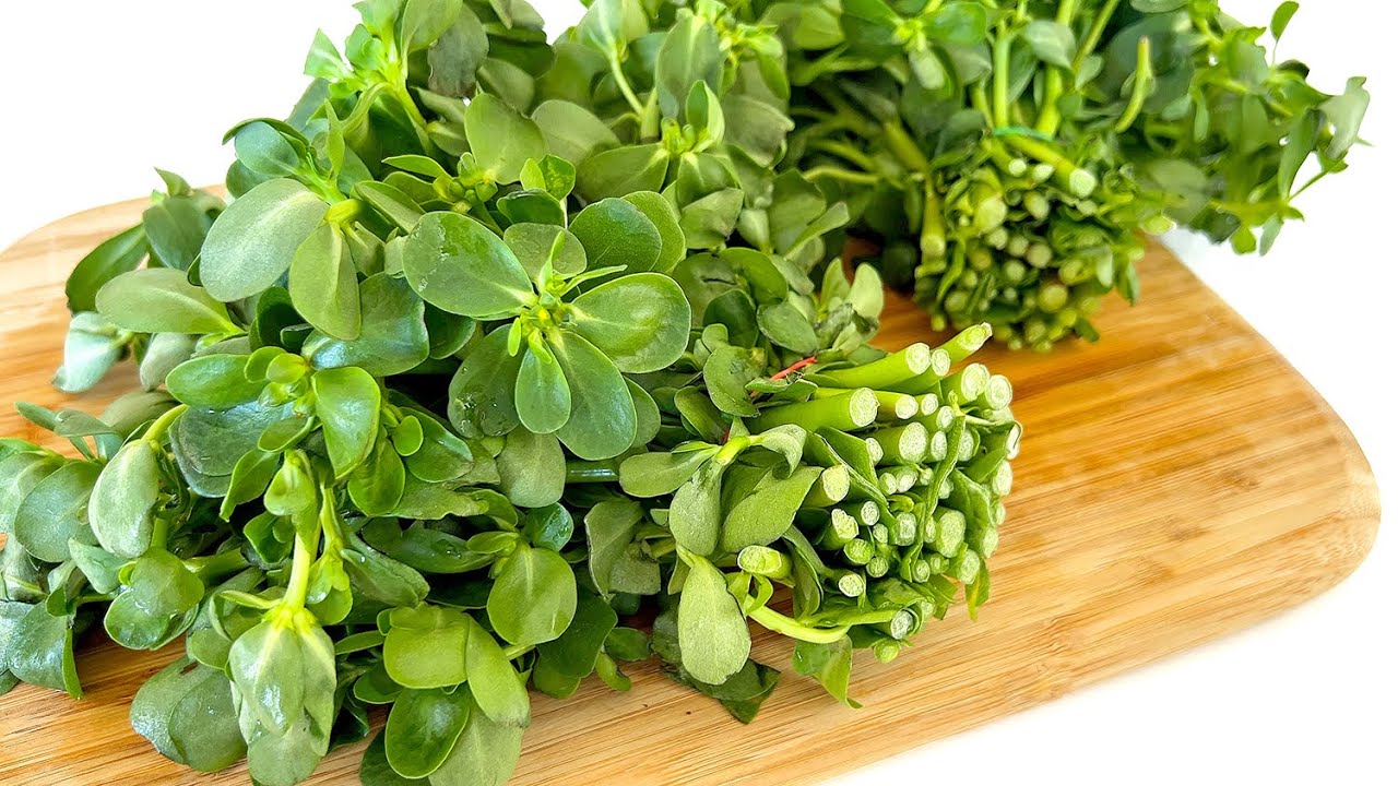 Что я готовлю из портулака / Очень вкусный портулак получается таким образом
