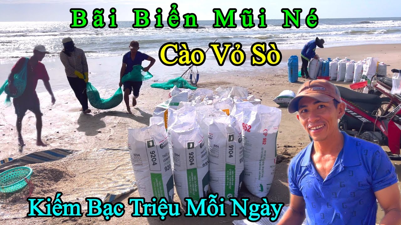 Mưu  Sinh Trên Bãi Biển Mũi Né . Cào Vỏ Sò , Kiếm Bạc Triệu Mỗi Ngày .