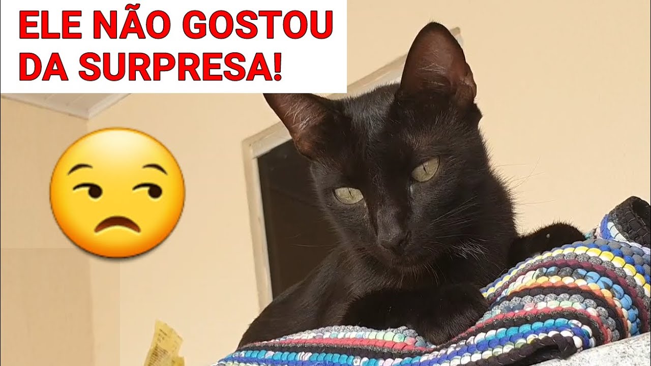 SURPRESA PARA O JÚLIO 🙆🏻‍♂️😂😾 | Júlio e Eu
