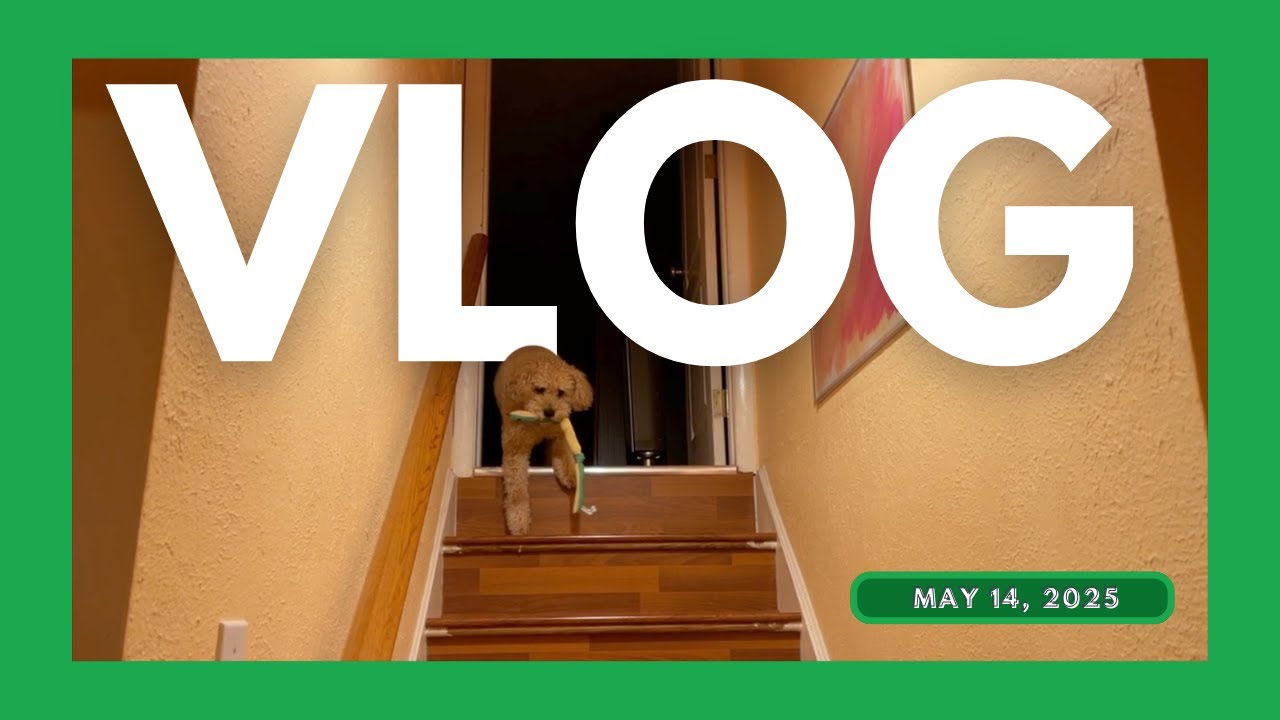 VLOG | May 14