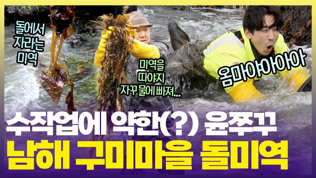 파도 아래 넘실대는 것은 쭈꾸인가 돌미역인가🤣윤쭈꾸 수난시대 [6시 내고향] | KBS 250402 방송
