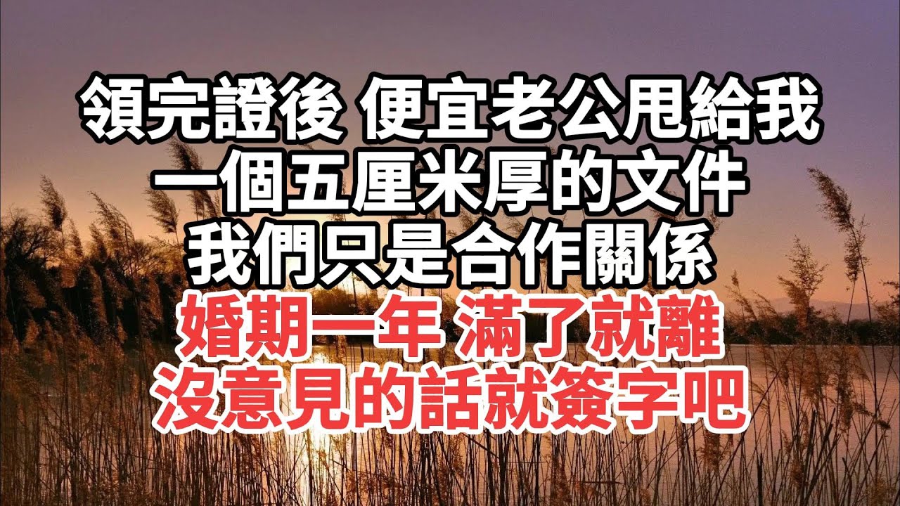 領完證後 便宜老公甩給我一個五厘米厚的文件 我們只是合作關係 婚期一年 滿了就離 沒意見的話就簽字吧#一口气看完 #故事 #小说