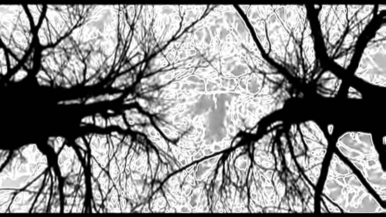 Scorpions - Yellow Raven