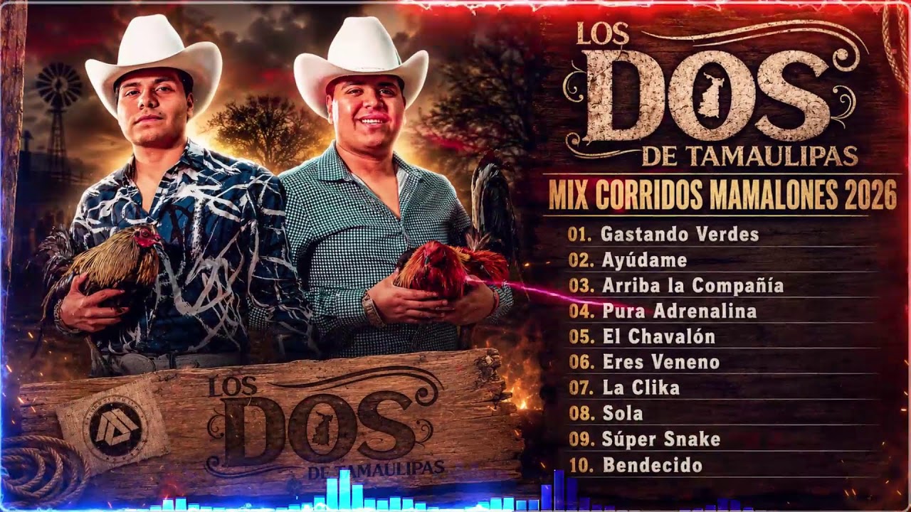 Puros Corridos Mamalones: LOS DOS DE TAMAULIPAS (Mix 2026) Vol2