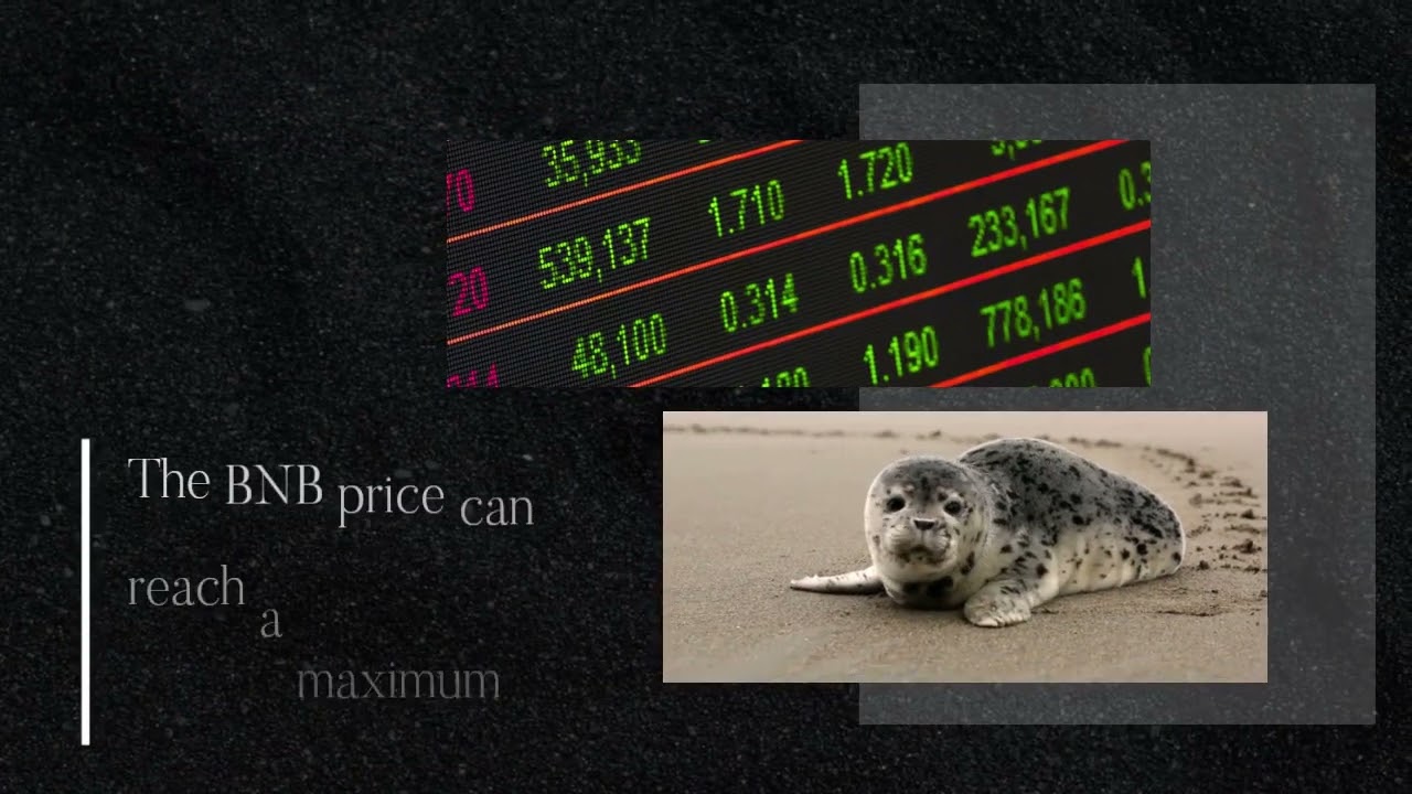 BNB Price Prediction 2023, 2025, 2030   Will BNB go up