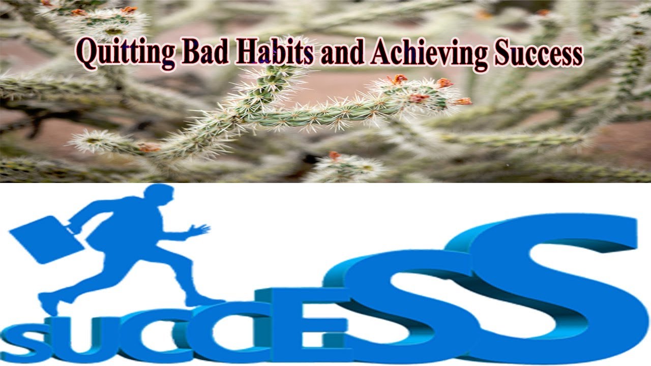 The Story of Cholla Cactus and Quitting Bad Habits.