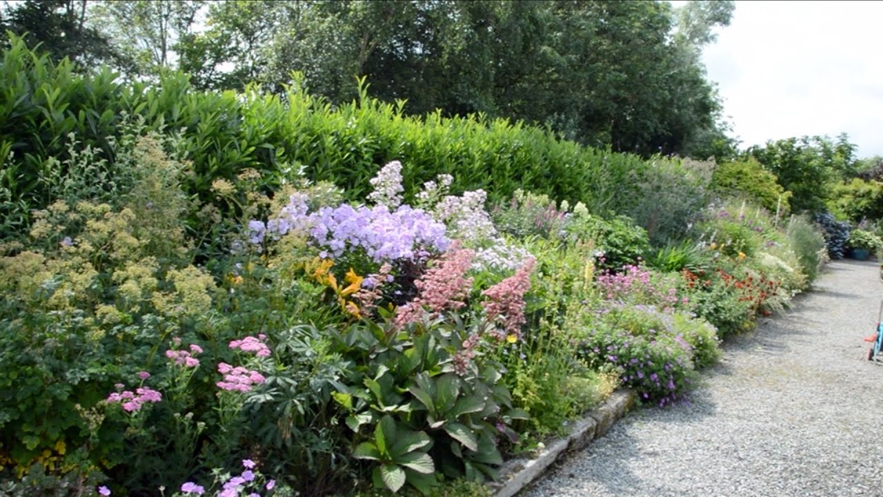 John's Herbaceous Border in July