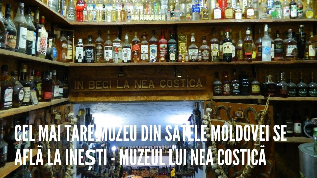 In vizita la muzeul lui Nea Costica la Inesti