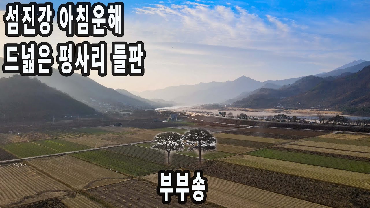 토지의 실제모델을 만나다/악양들판 트레킹/바위를 뚫고 나온 소나무/섬진강 아침운해/정동원 김다현 고향/하동여행