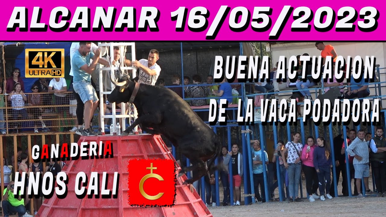 💯▶️4K ALCANAR 2023 HNOS CALI