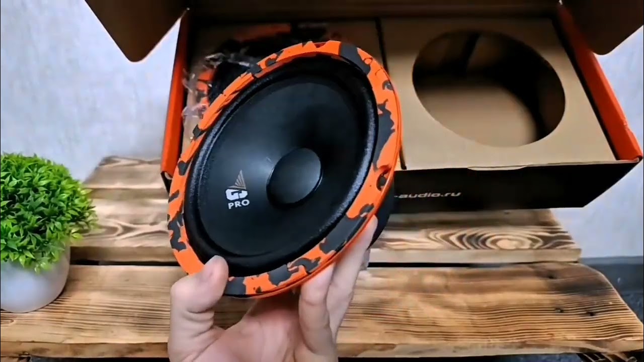 обзор и прослушка Dl audio Gryphon pro 165 midbass