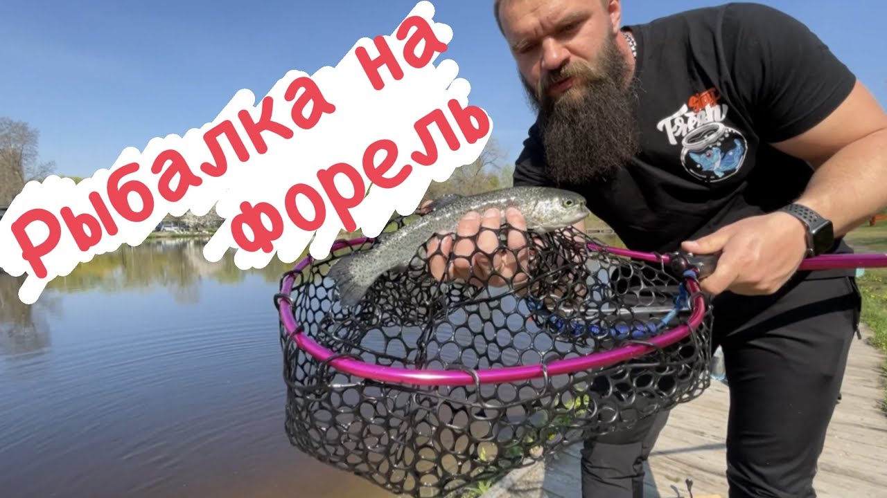 Ловля форели на платнике! На что я ловлю прудовую форель