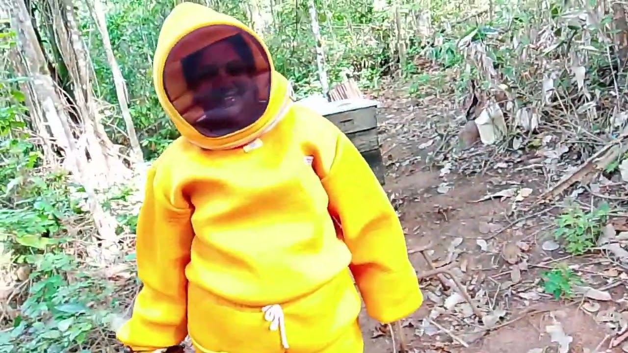 🐝CONSEGUIMOS CHEGAR NO APIÁRIO🚨!!