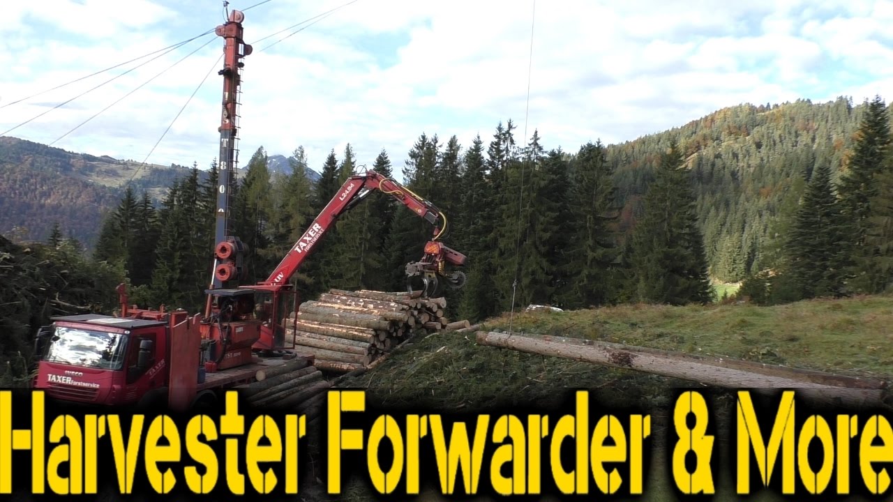 TST 800 4t yarder & Woody 60 in the Alps