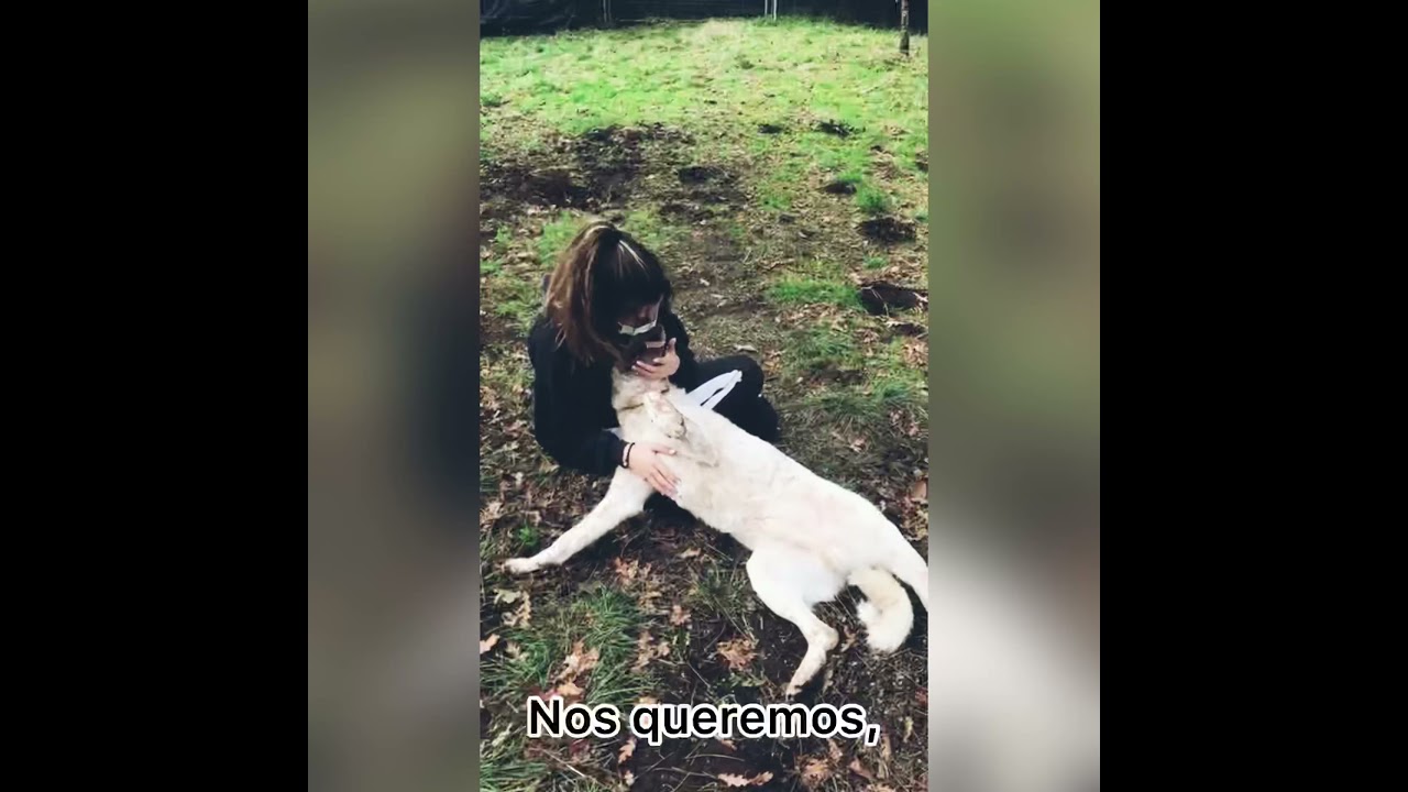 SOCIEDADE PROTECTORA DE ANIMAIS E PLANTAS DE LUGO