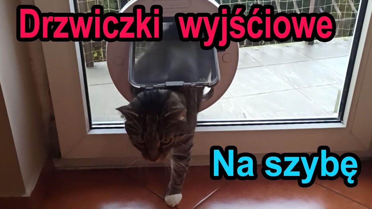 Drzwiczki na szybę dla Kota | Psa | Jaki koszt 2025 |  Cz.1