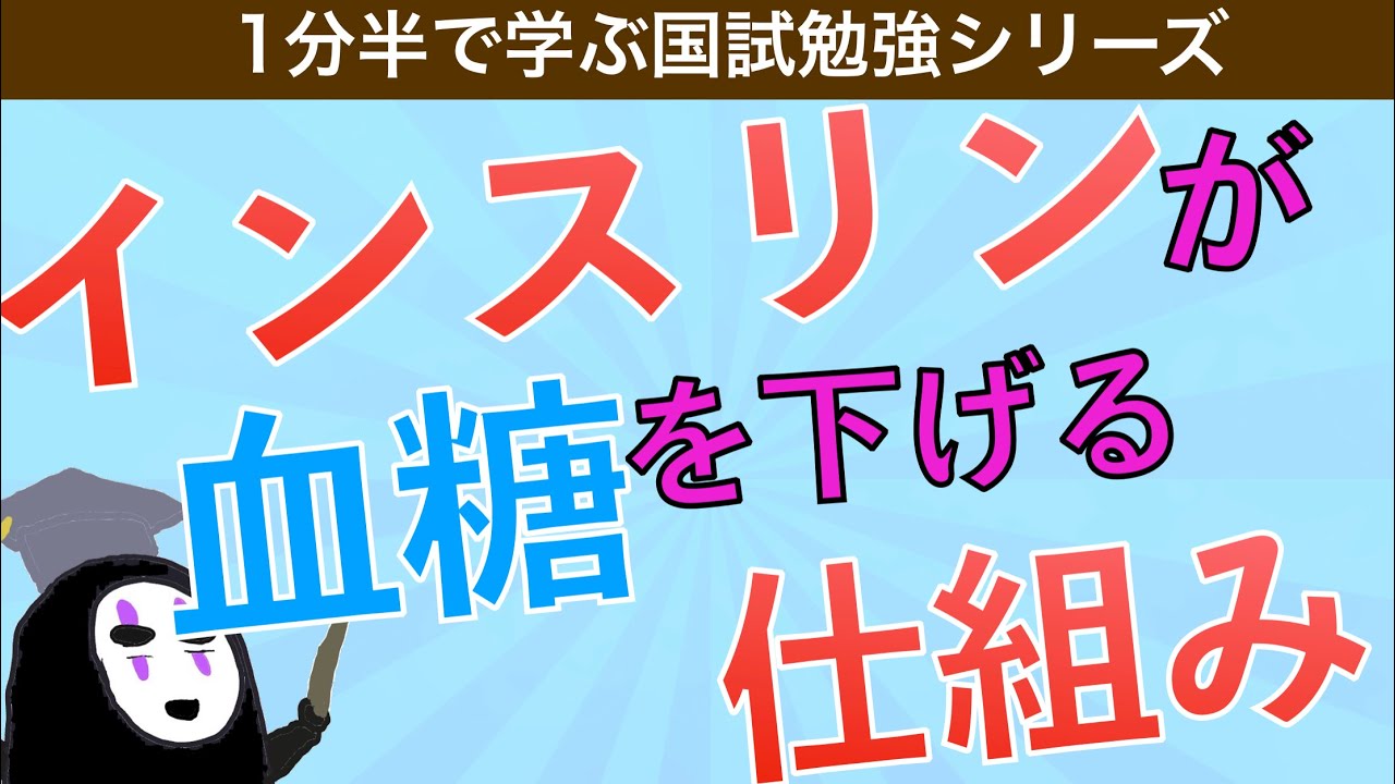 1分半で学べる国試勉強シリーズ「インスリンの作用機序」