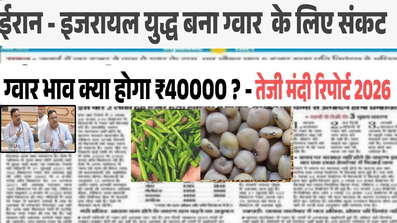 ग्वार गम निर्यात को मंजूरी ग्वार में बनेगी जोरदार तेजी gwar gam  niryat khabar, gwar ka bhav