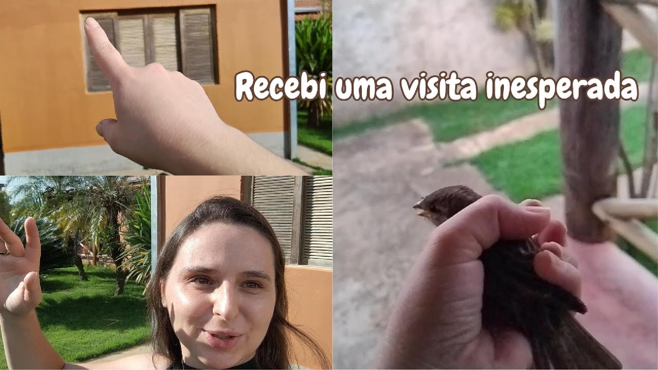 Tive que IMPROVISAR e recebi uma VISITA INESPERADA| Vida no Interior