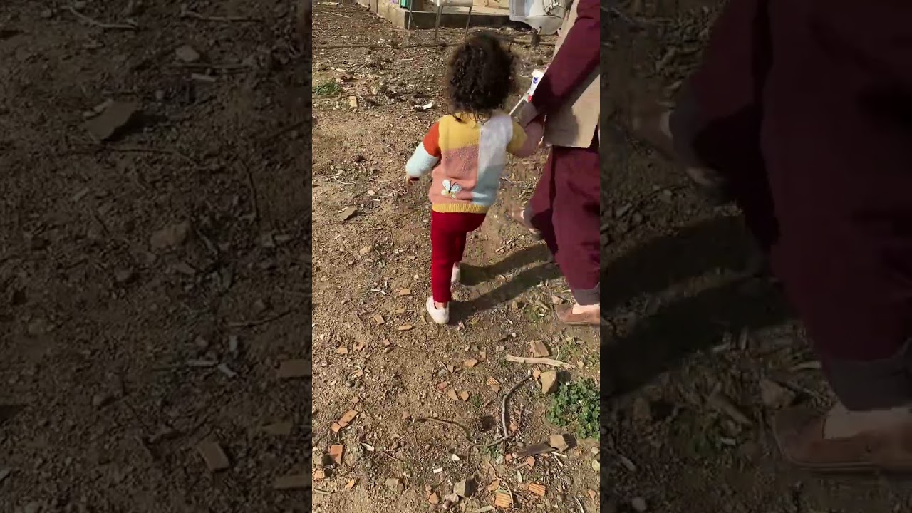 😱😱😱😱Çiçekler yumurtalar topladık. Civciv, tavuk besledik. Dedemizin motorunu çalıştırdık. 😎🤣❤️🤩🌸🥰🙏